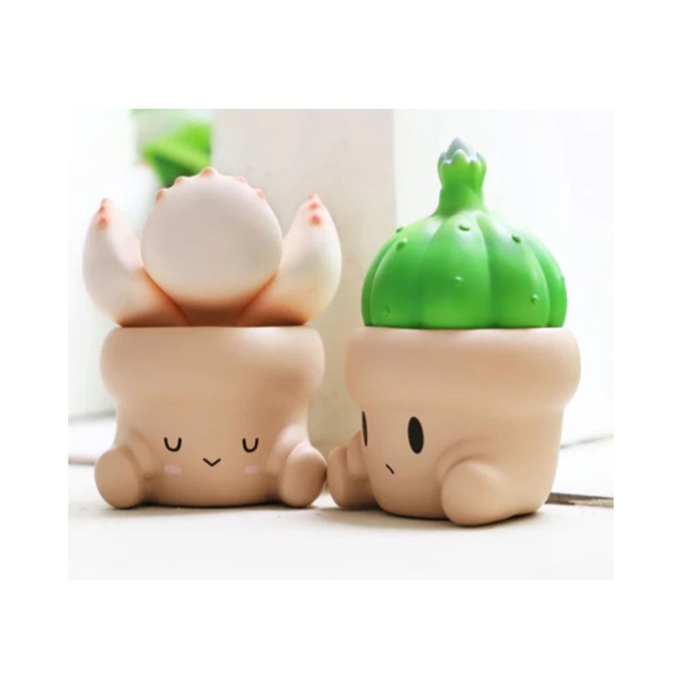 Penpot Hugging Succulents Series 1 Blind Box