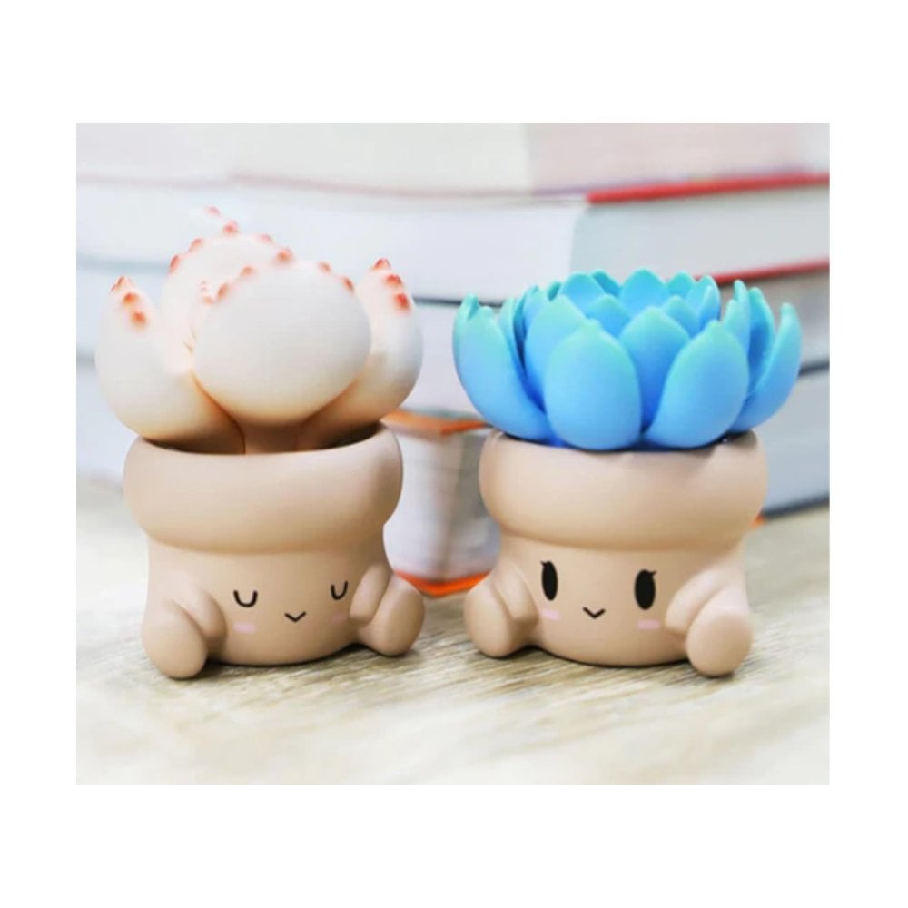 Penpot Hugging Succulents Series 1 Blind Box