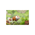 Panghu Fat Tiger and Baby Open Box