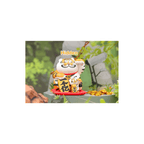 Panghu Fat Tiger and Baby Open Box