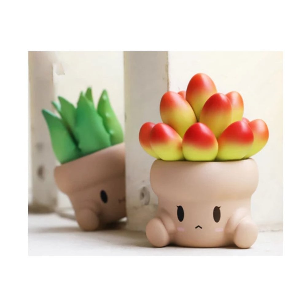 Penpot Hugging Succulents Series 1 Open Box