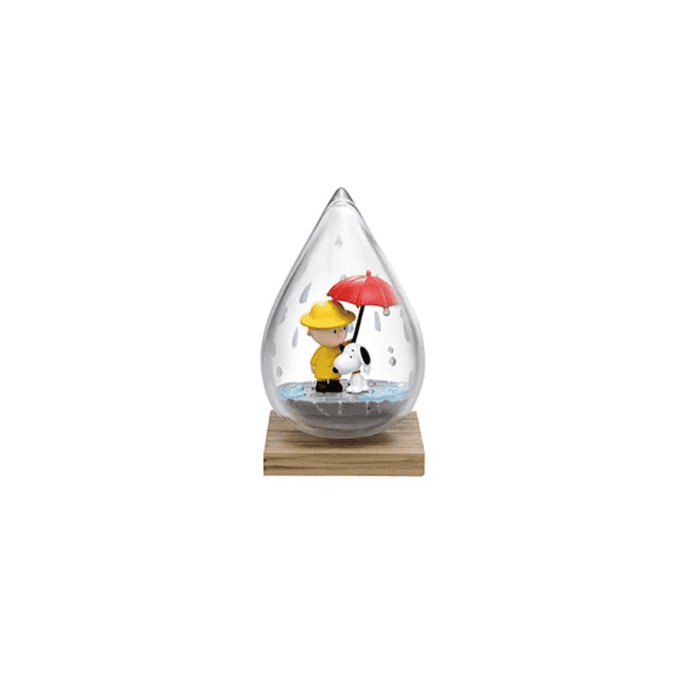 Snoopy Weather Terrarium Box Set
