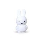 Miffy Classic Medium Moneybox - Choose your colour!