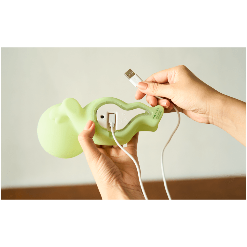 Smiski Touch Light vol 2 - 3 different brightnesses - limited stock!