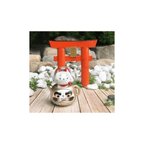 Tea Fox Daruma Series 1 & 2 - Choose your favourite!
