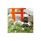 Tea Fox Daruma Series 1 & 2 - Choose your favourite!