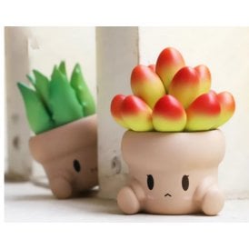 Penpot Hugging Succulents Series 1 Blind Box