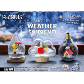 Snoopy Weather Terrarium Box Set